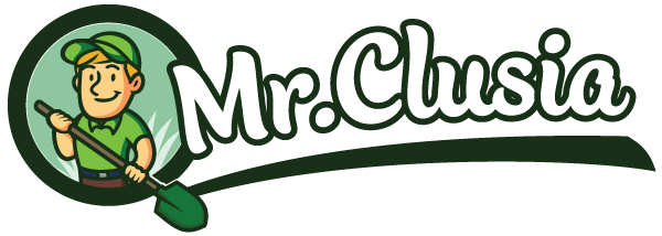 Mr. Clusia
